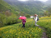 84 rosso l'ombrellino, giallo il prato...